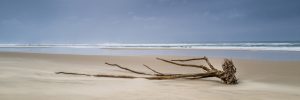 Photography assignments in France