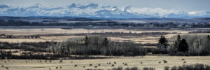 Reportages photographiques - Canada