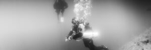 Photographie sous-marine
